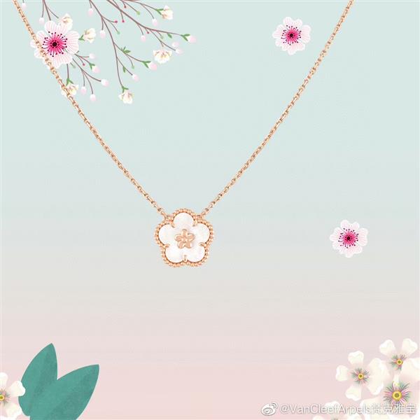 202426145920185 4550